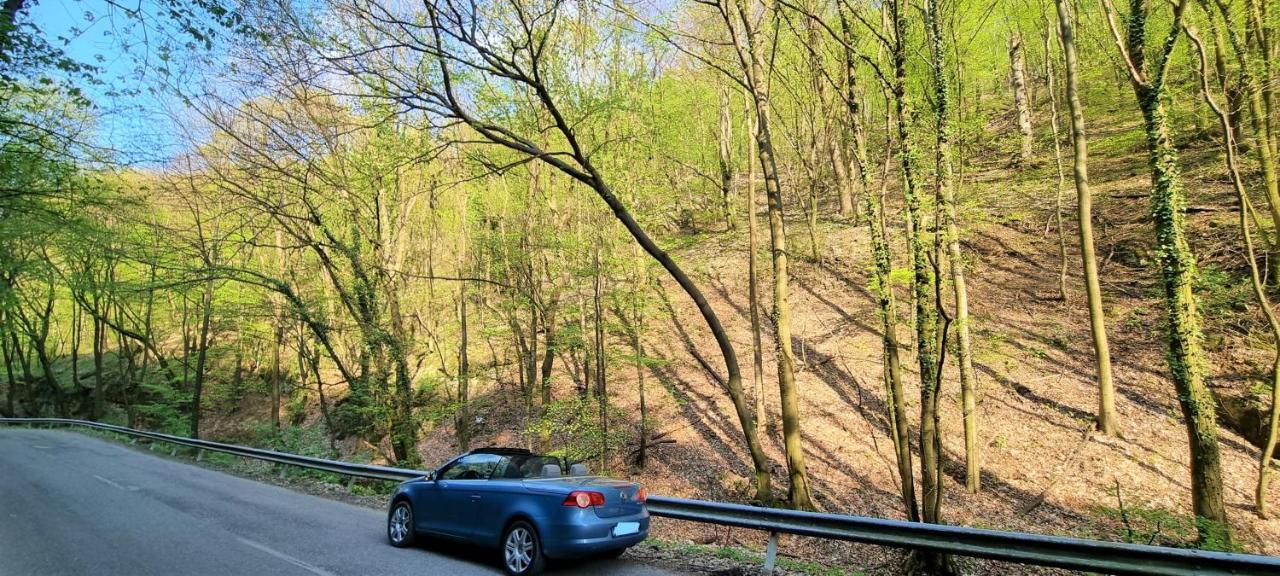 Hos-Cegledi Vendeghaz Miskolc -Oenallo Otthon, Mely Csak Az Oenoeke Luaran gambar