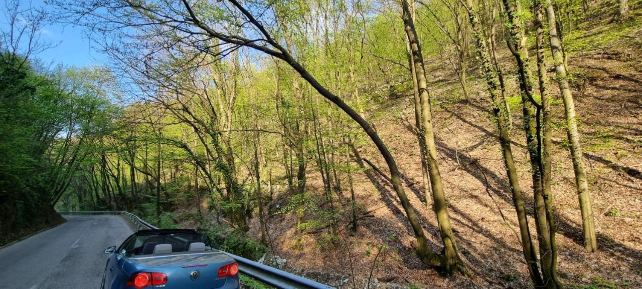 Hos-Cegledi Vendeghaz Miskolc -Oenallo Otthon, Mely Csak Az Oenoeke Luaran gambar