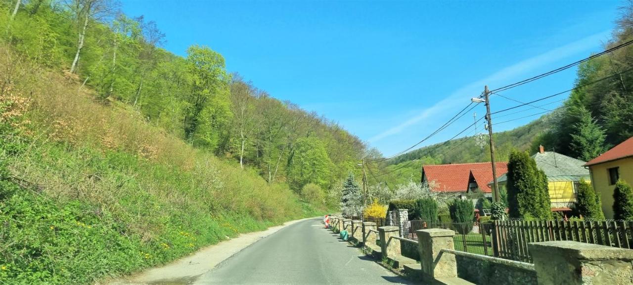 Hos-Cegledi Vendeghaz Miskolc -Oenallo Otthon, Mely Csak Az Oenoeke Luaran gambar