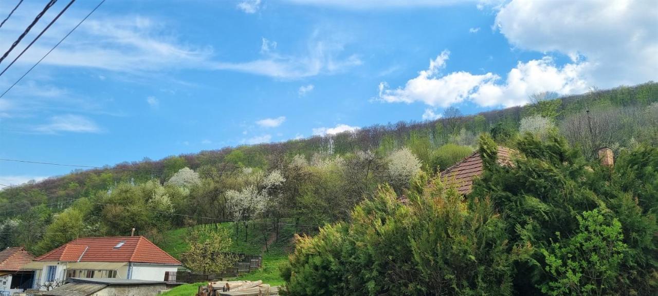 Hos-Cegledi Vendeghaz Miskolc -Oenallo Otthon, Mely Csak Az Oenoeke Luaran gambar